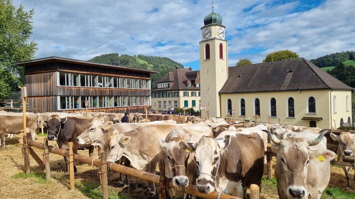 Viehschau Bütschwil